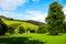 Green Meadows and Trees in Beautiful Ilam Hall in Peak District