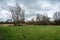 Green meadows and trees of a creek valley nature reserve, Grimbergen, Flemish Brabant, Belgium