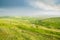 Green Meadows under the Blue Sky