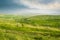 Green Meadows under the Cloudy Sky