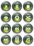 Green Media Buttons