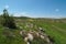 Green Mediterranean valley among hills in spring