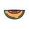 green melon seeds slice cantaloupe color icon vector illustration