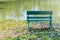 Green metal bench place on green lawn grass meadow field surrounded with dried pink flower fall from the trees in public park.