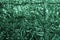 Green metal foil, wrinkled and shiny. Close-up, abstract image background