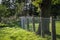 Green metal grille fence with tree and grass