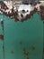 Green metal peeling paint rust background label shabby grungy grunge peeling paint