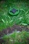 A green mine lies on the ground camouflaged in green grass. Weapon bomb anti-personnel mine. Projectile of war.
