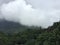 The green misty valleys of Talkaveri, Coorg