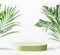 Green modern product display with pale podium and tropical palm leaves at white background. Scene stage showcase. Place for your