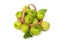 Green Monkey apple or jujubes in basket