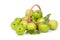 Green Monkey apple or jujubes in basket