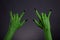 Green monster hands with black nails showing heavy metal gesture