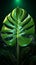 Green monstera leaf illuminated by radiant neon light in 3D