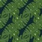 Green monstera leaves on dark blue background. Botanic seamless pattern