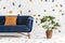 Green monstera plant next to a dark blue sofa with an orange pillow in a white living room interior with lastrico wallpaper. Real