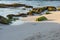 Green moss covered coral reef rocks on a sandy beach. Riviera Maya, Cancun, Mexico.