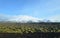 Green Moss Covered Lava Field In Front of Glacier