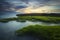 Green moss covered rocks in Magoito beach at sunset - Sintra, Portugal