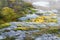 Green moss on granite rocks