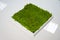 Green moss grass texture decoration in square wood box