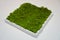 Green moss grass texture decoration in square wood box