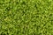 Green moss grass textured natural background