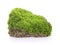 Green moss grow on soil on white background.