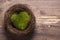 Green moss heart in a nest