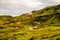 Green moss hills and heat pipes near Nesjavellir Geothermal Power Plant in Iceland