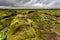 Green moss lava field, South-East Iceland