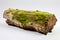 Green moss on a piece of driftwood isolated on white background.