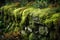 Green moss and plant covered old eroded stone wall.