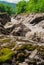 Green moss on a rock in the mountains