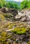 Green moss on a rock in the mountains