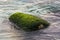 Green moss sea rock