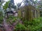 Green mossy abandoned house in tropical jungle. Asian forest travel fisheye photo. Wild jungle hiking travel