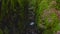 Green mossy cleft with a creek running through at Dollar Glen Park in Scotland