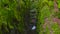 Green mossy cleft with a Creek running through at Dollar Glen Park in Scotland