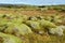 Green mossy covered lava rocks