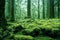 green mossy forest background