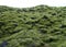 Green Mossy Lava Rocks along the road of South Iceland, Background