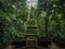 Green mossy pagoda in rain forest. Thailand. hidden treasure.