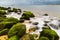 Green mossy seashore stones, green algea, white blur wave, Long exposure photo.