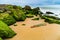 Green mossy seashore stones, green algea, yellow sand, wooden stick