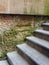 Green Mould on Sandstone Stairwell, Sydney, Australia