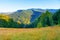 Green mountain covered with forest