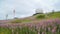 Green Mountain landscapes at the Wasserkuppe Peak in Hessen, Germany.