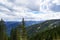 Green mountain in Southern Tyrol with firs and clouds