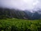 Green mountains and clouds in Himalayas